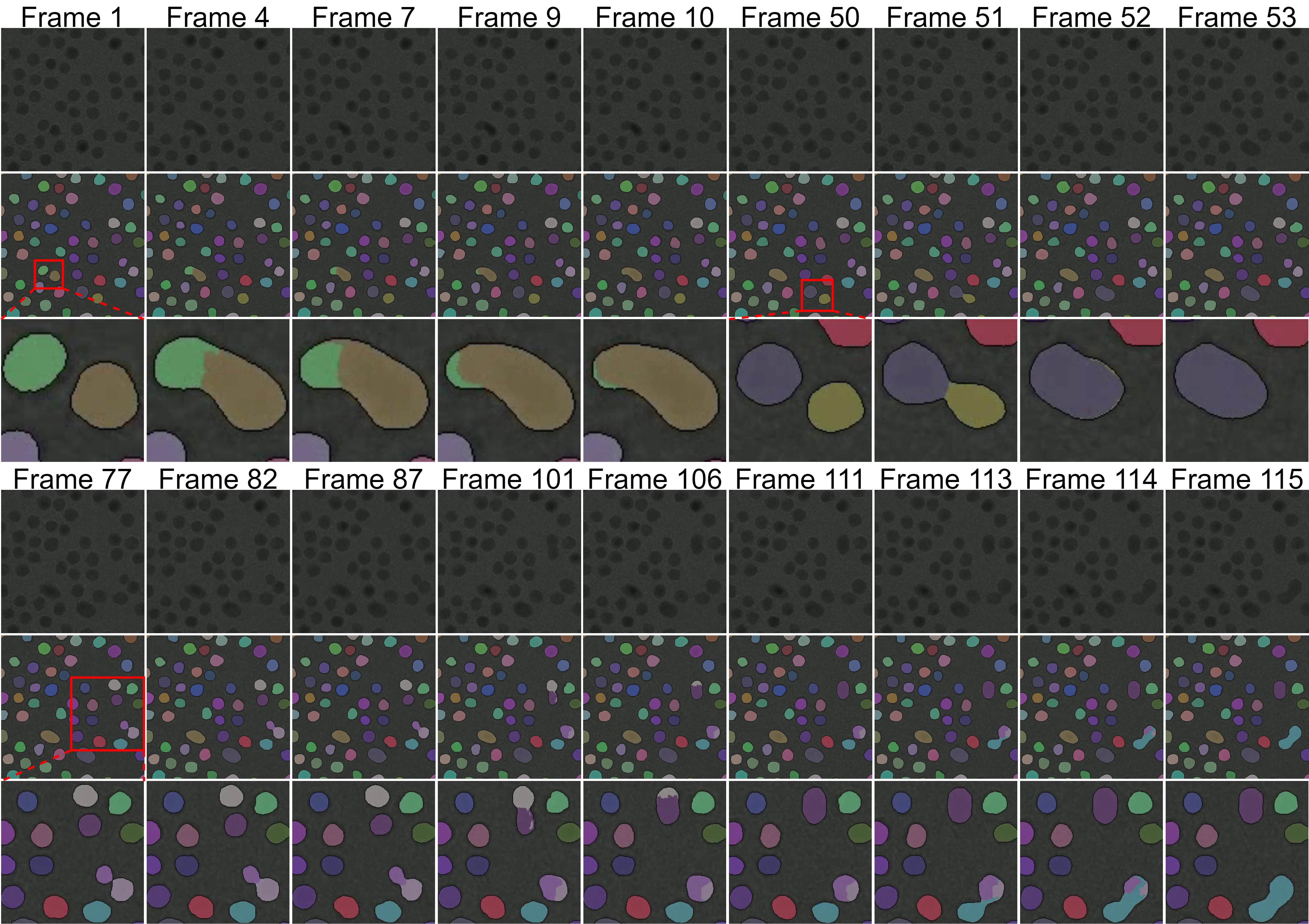 Comparison of key video frames. The first row shows original frames, the second row shows segmentation results, and the third row is a magnified view of the red box area, showing segmentation and tracking of objects.